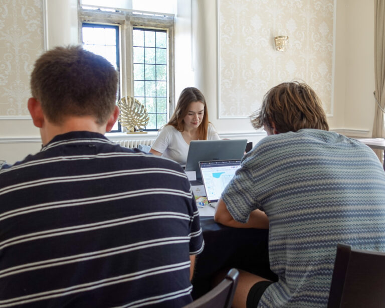 people work on laptops